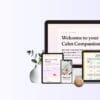 The Choose Calm System