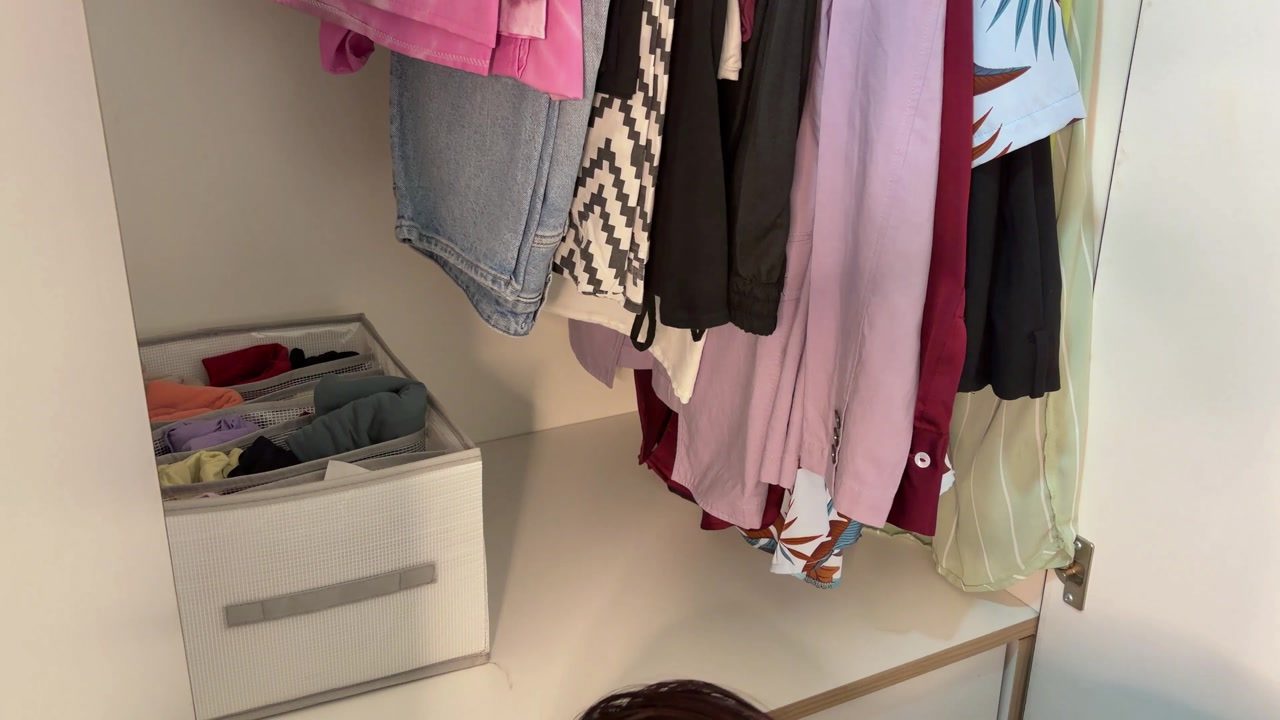 A fabric clothes organizer fits on the shelf beneath shorter hanging clothes.